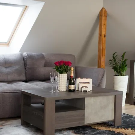 Petro Studija Apartment Kaunas