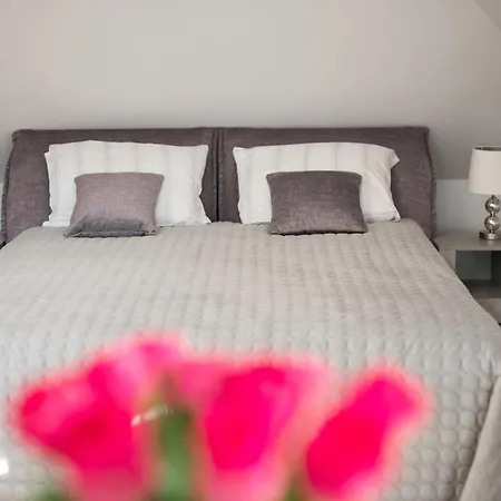 아파트 Petro Studija *