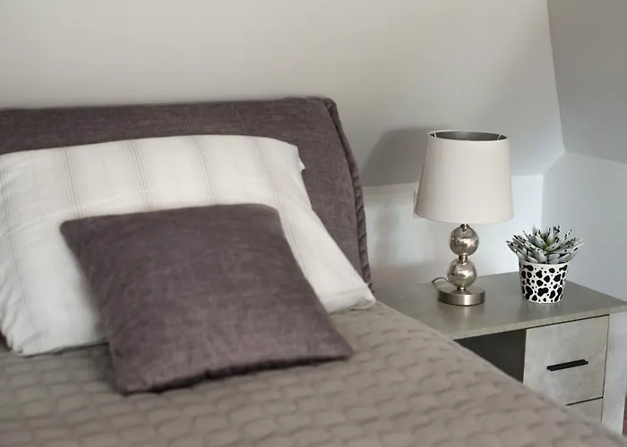 Petro Studija * Kaunas