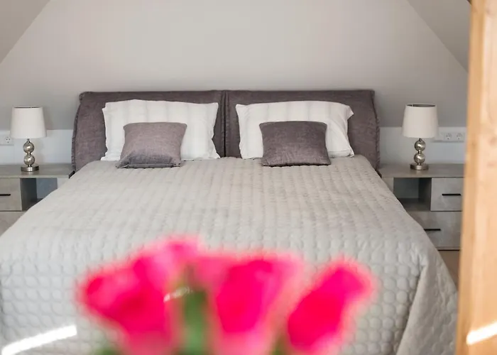 아파트 Petro Studija *